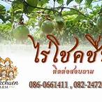 น้องไข่ตุ๋น เสียชีวิต